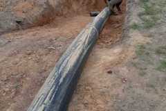 IMG-20230611-WA0011