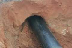IMG-20240416-WA0004